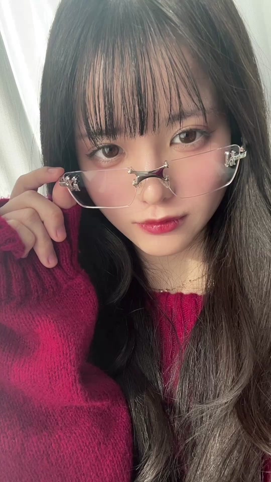 金属シルバーのエンブレムS 01メガネ | 光学 | TIJN